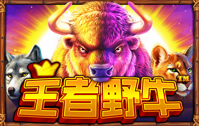 XJ011:COM-WWW:XJ011:COM截图4